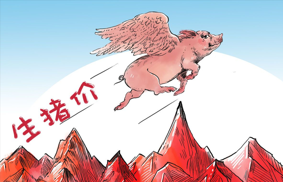 立冬过后猪价喜迎分水岭发生了啥1个坏消息