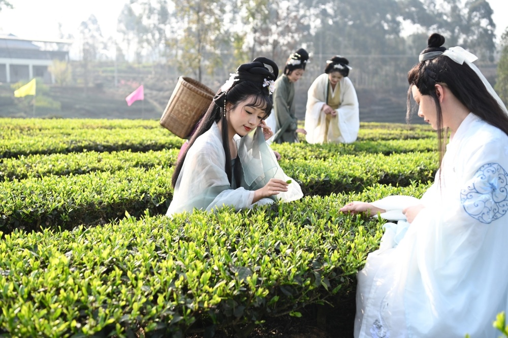 荣县第十五届茶旅风情季开幕_腾讯新闻