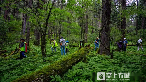 离会,游客自行选择观光迪庆旅游景区,凭户外行证件免门票体验虎跳峡