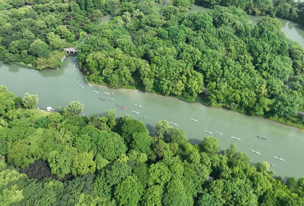 (体育)全民健身——西溪湿地上演皮划艇,桨板挑战赛(2)_腾讯新闻