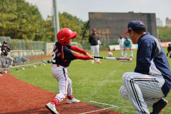 mlbcup青少年棒球公开赛秋季赛大连站收官