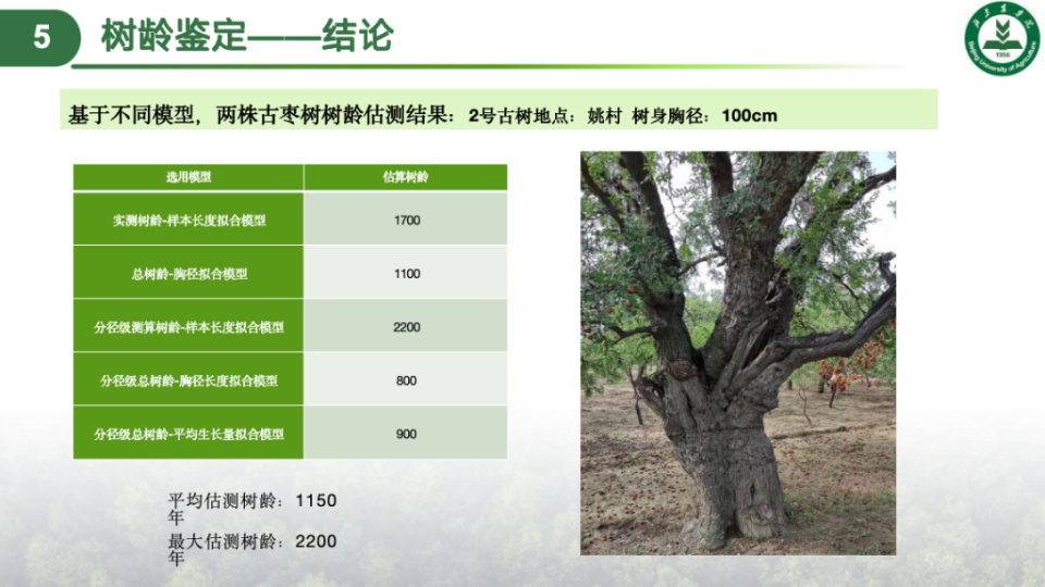 科技赋能，农文旅融合，后稷故里山西稷山县推动板枣产业升级发展_腾讯新闻