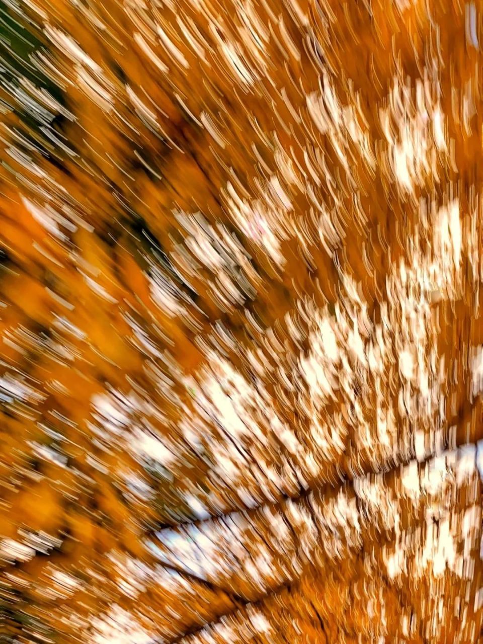 当马桥文化遇上抽象派摄影家