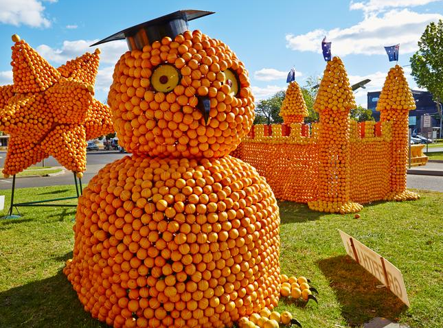 巨型南瓜艺术王国来了打卡去
