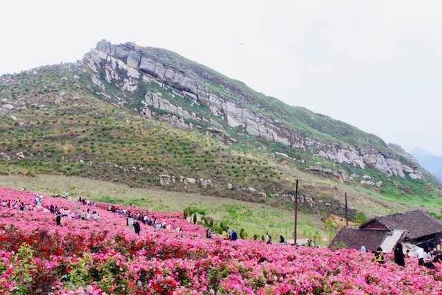 又见青山世界锑都锡矿山的生态蝶变