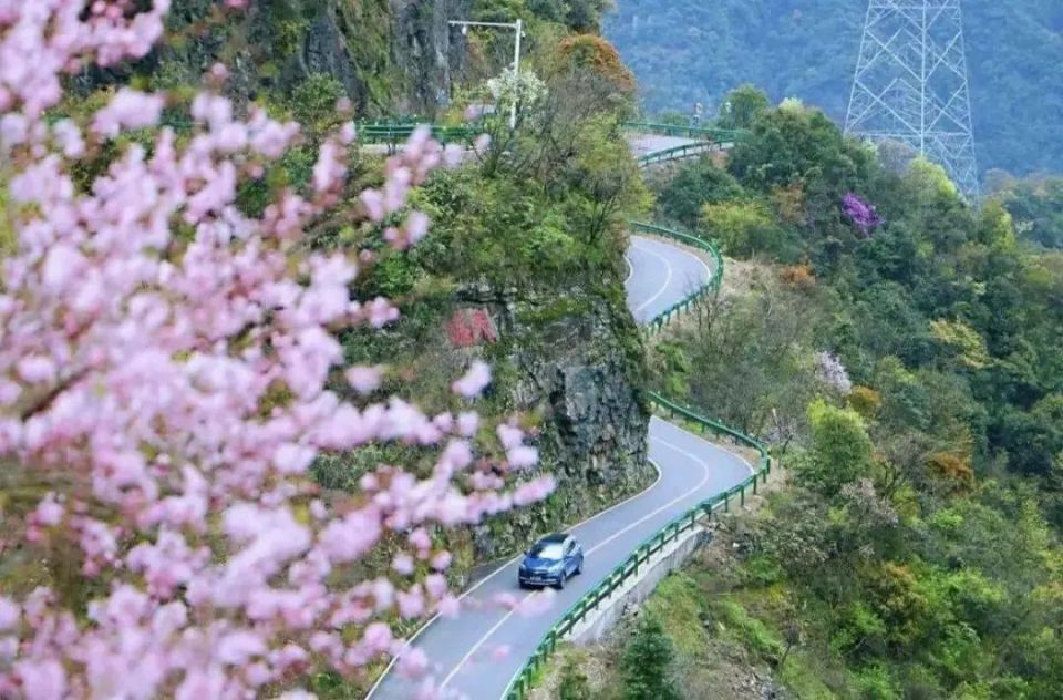 鹿马桥马头湾旅游景区图片