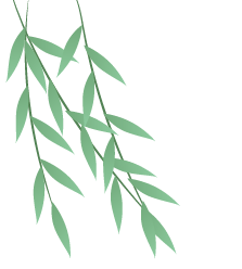 几许绿韵满园风光"池上碧苔三四点,叶底黄鹂一两声"▼一步一景的宁阳