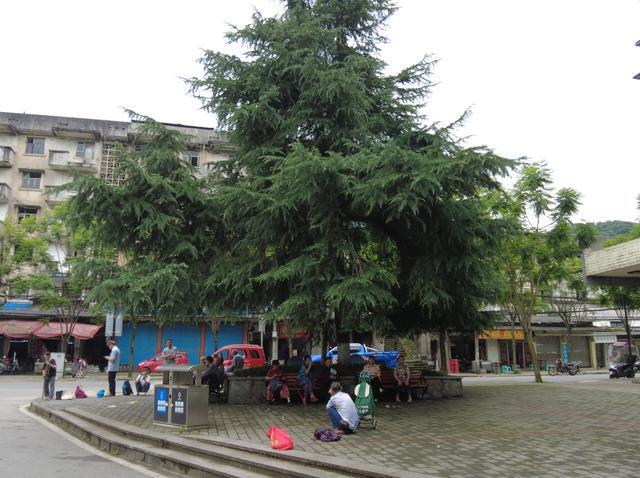 北碚天府镇因煤而兴,1万多人搬离这里,大量建筑人去楼空太可惜