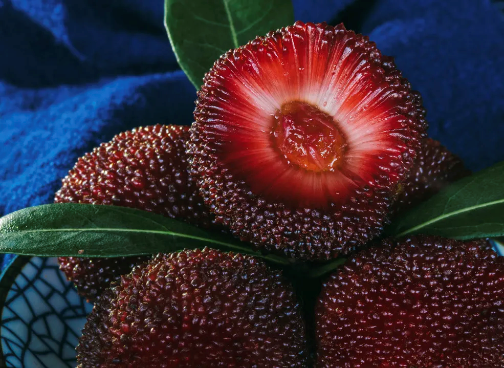 仙居杨梅如何鲜到海内外?