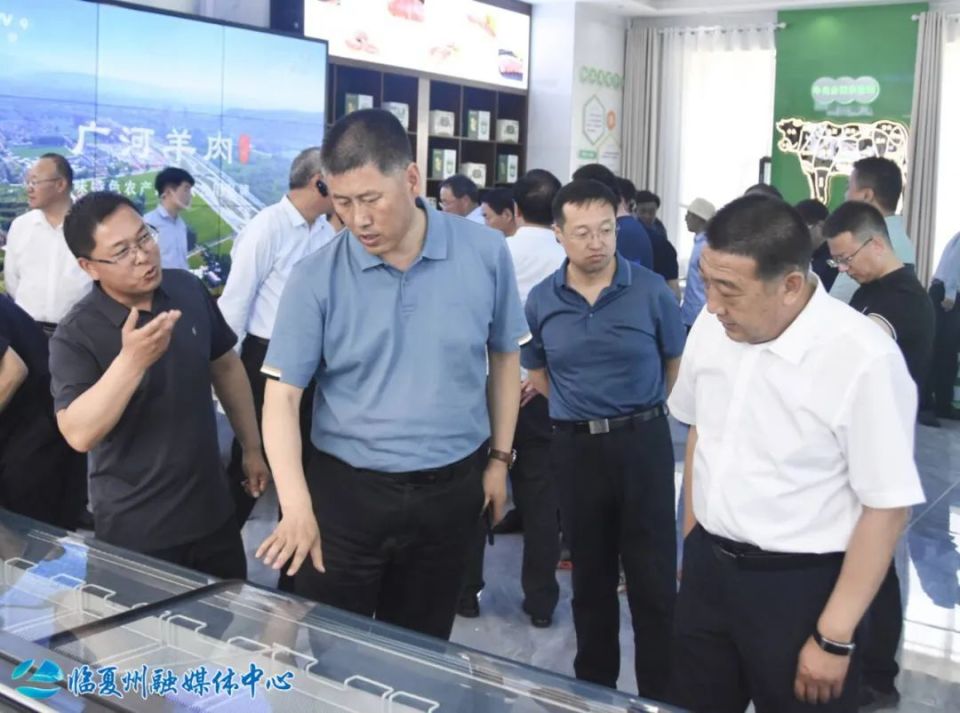 张毅,王鸿岳,杨福波,马斌,鲁泽,郭海泉,马超,张朝俊,李勇,张天龙等