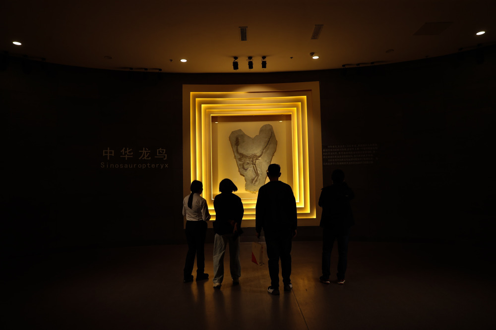 文旅新探|打卡古城朝阳:深藏市井的16座"宝藏"博物馆