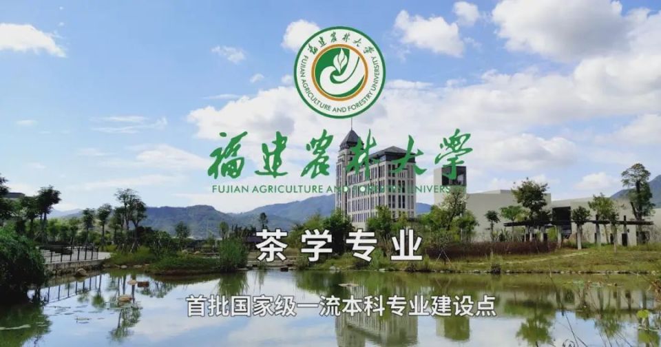 "福建农林大学安溪校区茶学院首届毕业生刘云云讲述了自己从进入安溪