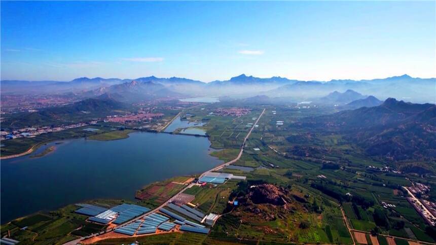 第37届大泽山葡萄节开幕甜蜜果串出致富路