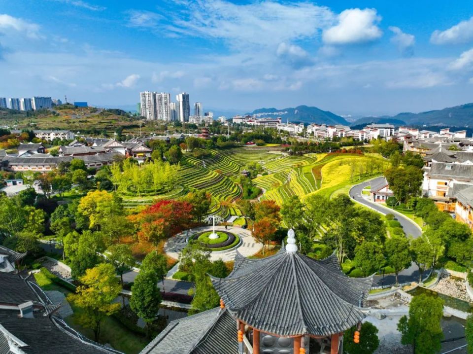 春风十里,大方邀您共赴一场诗意盎然的踏春之旅