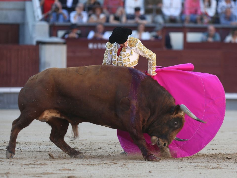 西班牙:斗牛表演