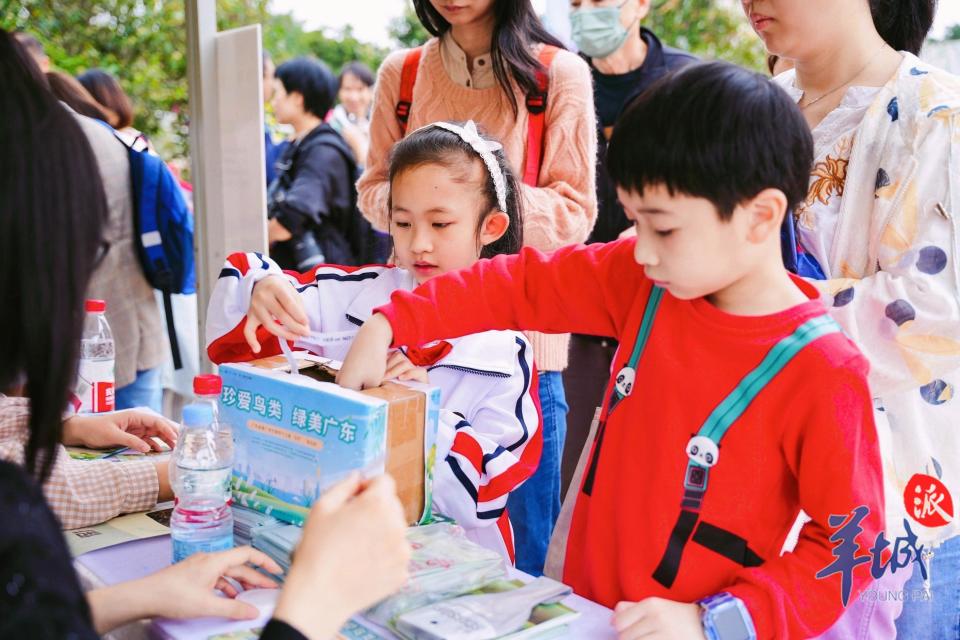 鸟类提升至196种!广州海珠国家湿地公园新增两种新纪录鸟类_腾讯新闻