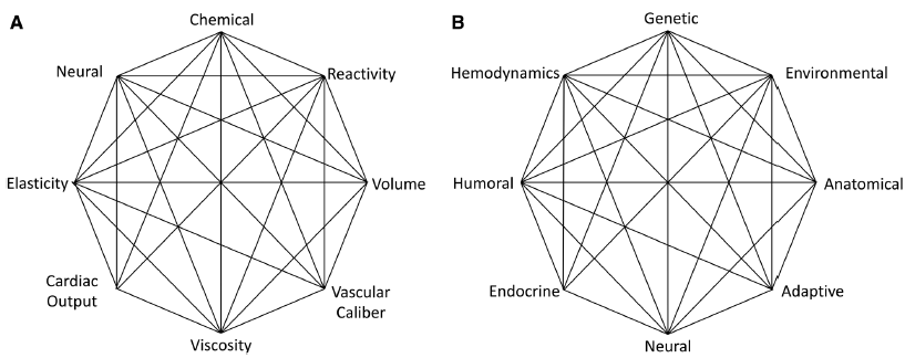 abpm血压怎么看全球高血压用药史转折点：40年首个新靶点药物III期成功_https://www.jmylbn.com_新闻资讯_第17张