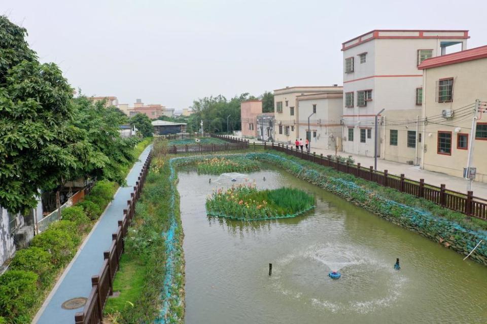 坑塘變身花園珠海斗門區8座溼地公園年底開放