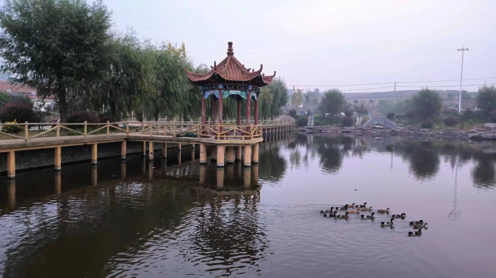 莒南县文疃镇陈家岭村:头雁领航,致富有方_腾讯新闻