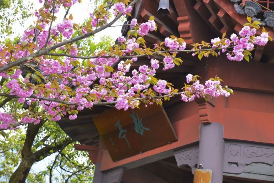 春游江淮 | "三月三·敬亭山",今日开幕!_腾讯新闻