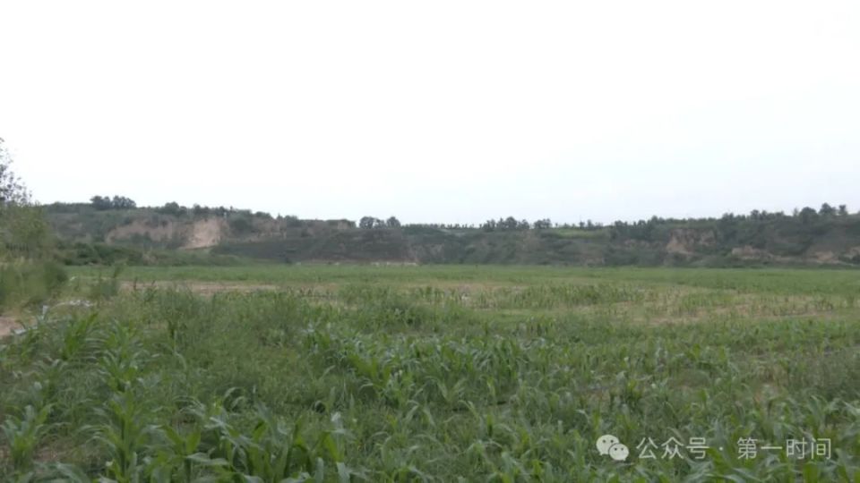 临猗县东张镇夹马口村村民  逯永平临猗县东张镇夹马口村村民逯永平