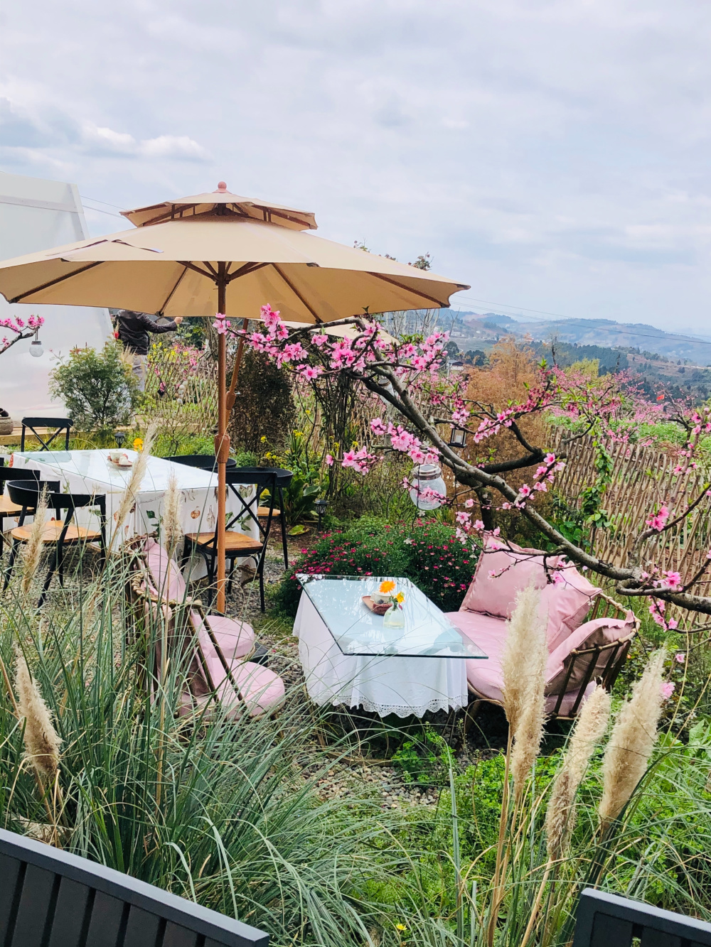 桃花故里景区漫山粉红,如诗如画,游人如织,市民可以一边赏花,一边沉浸