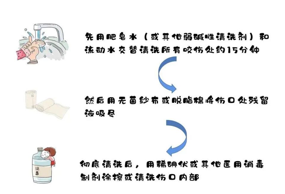 一些严重,较深的咬伤,还需要进行彻底清创和扩创,应尽快去专业的医院