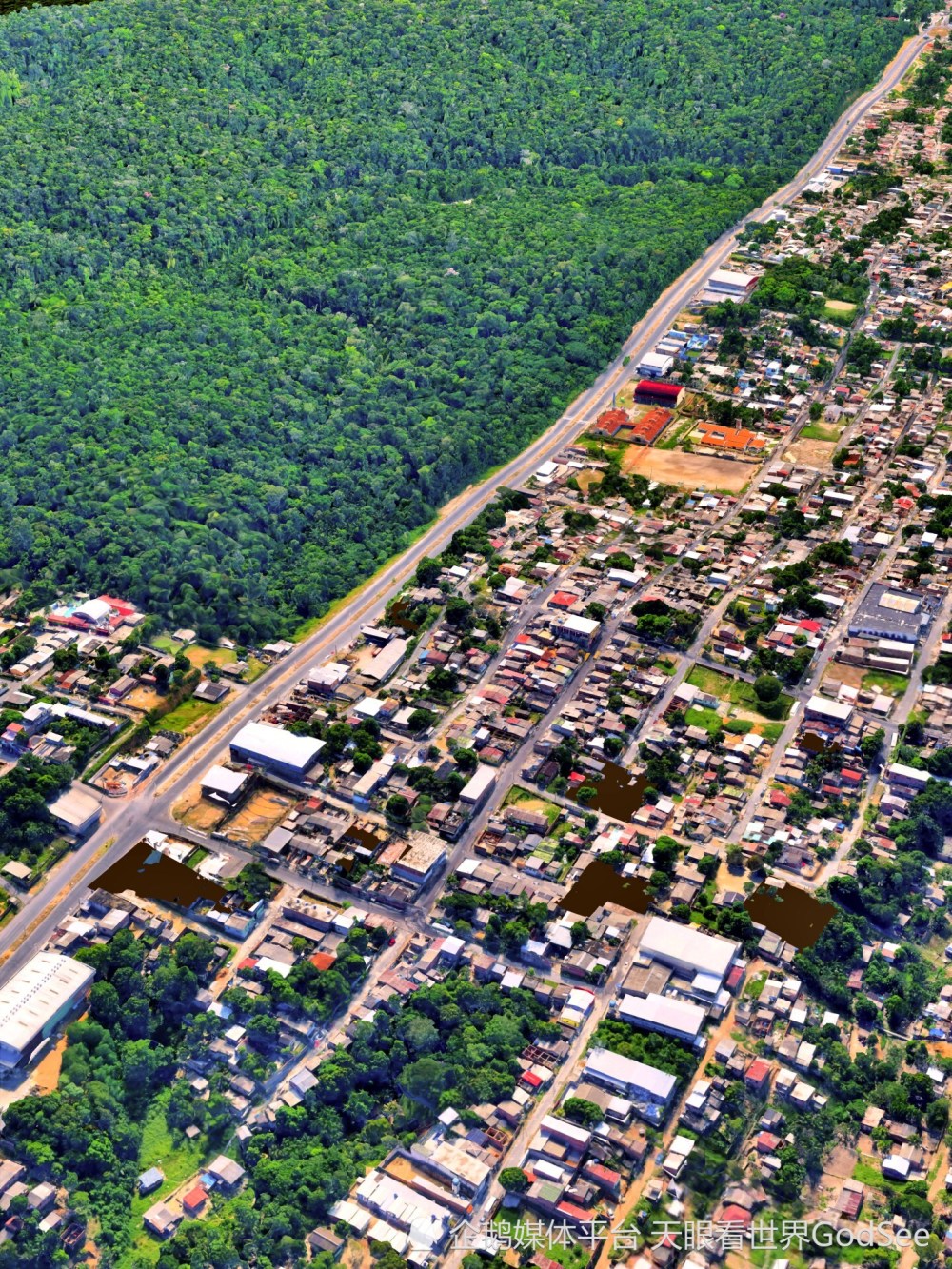 巴西亚马逊雨林马瑙斯玛格丽塔大道自然与人类文明的交汇_腾讯新闻