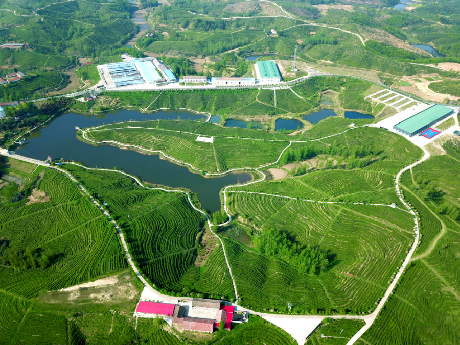 随县洪山镇:擦亮"湖北旅游名镇"名片