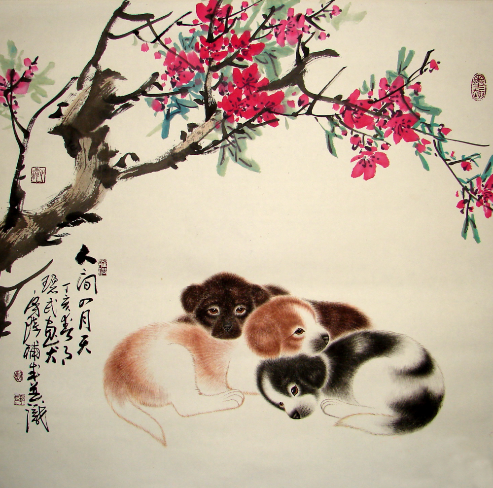 图片