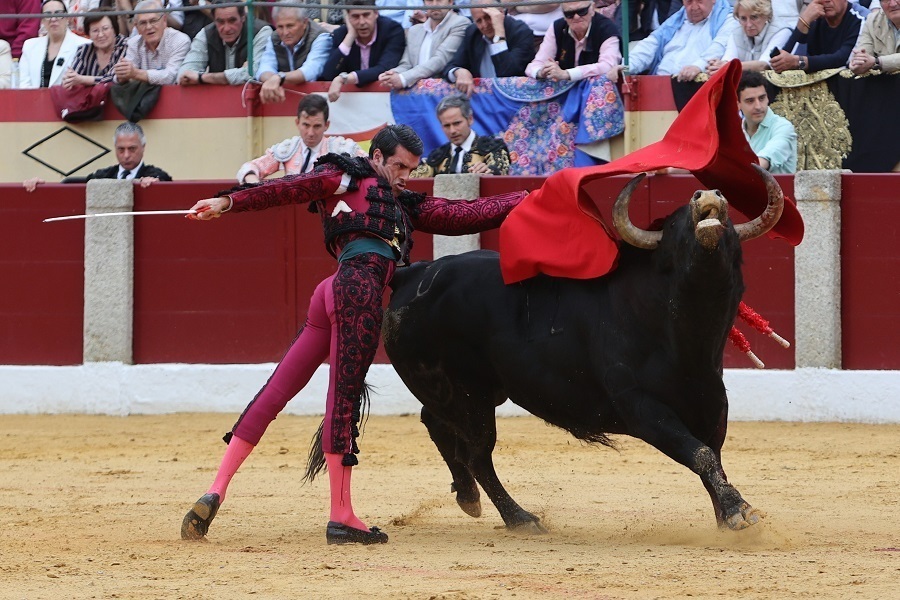 西班牙巴达霍斯举办斗牛比赛
