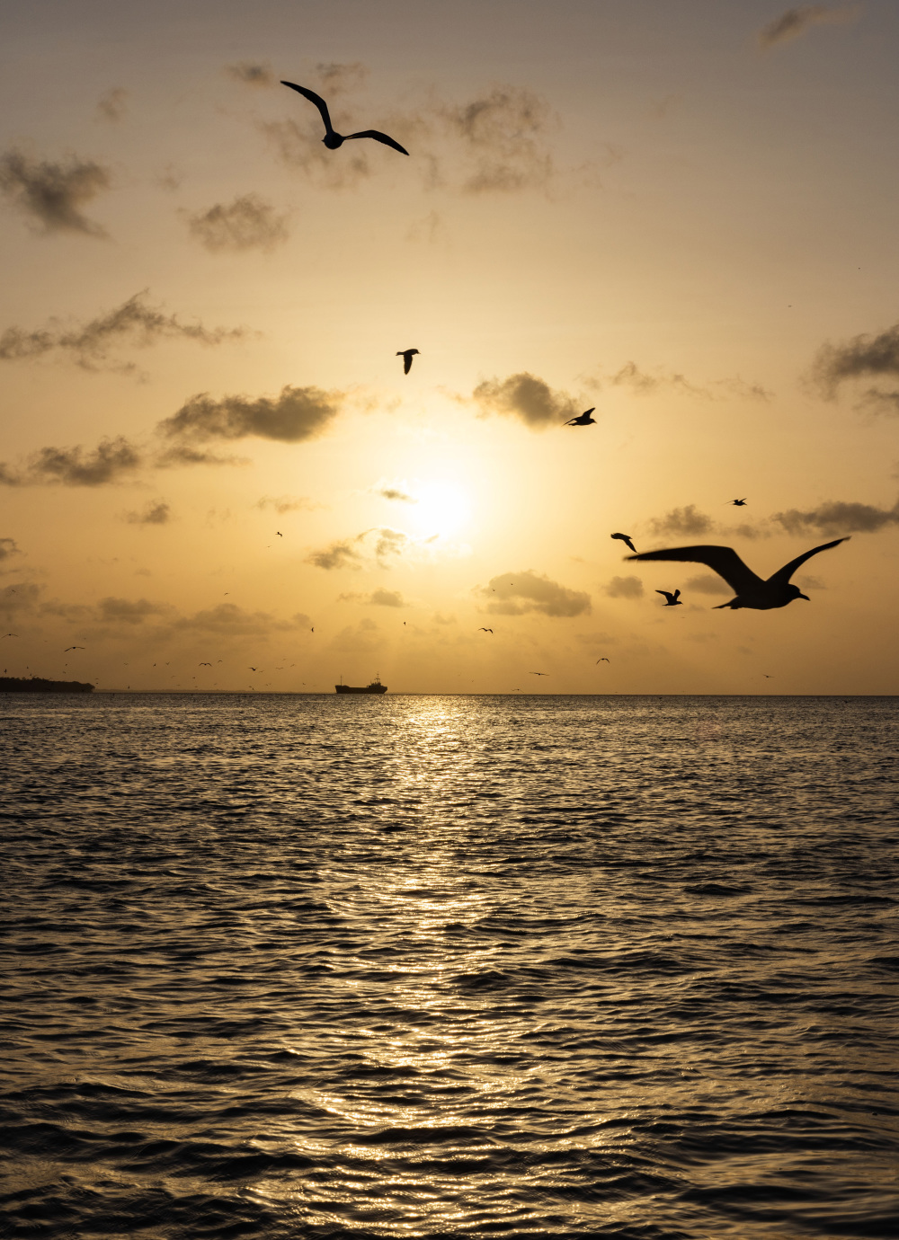 镜观世界丨苏里南首都帕拉马里博