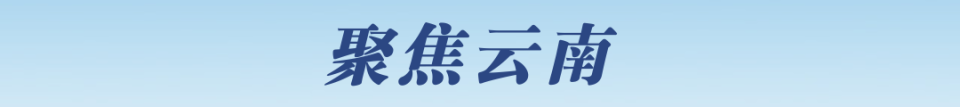 早fun丨惊艳！云南一女生用鲜花在地上作画……