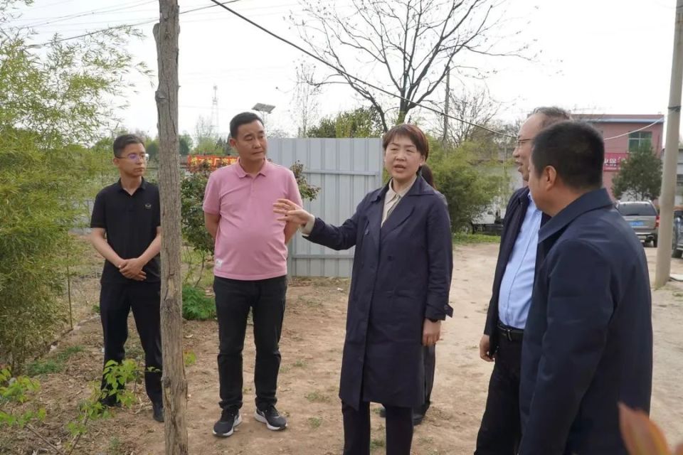 副区长宋洁调研农村污水处理厂(站)运行管理工作_腾讯新闻