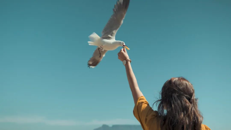 杨定一 | 走出生活中的困境