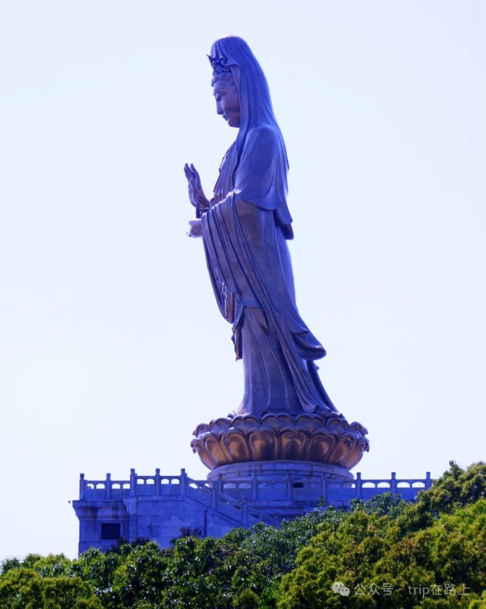 普陀山礼佛一日游,怎么玩不累脚?