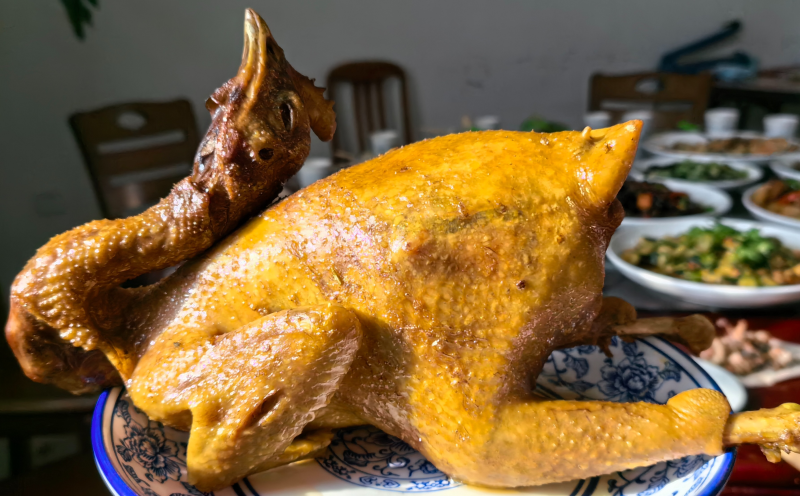 拜城油鸡产业发展之路该咋走?_腾讯新闻