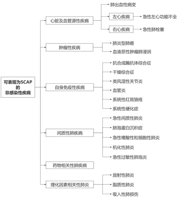 scap,hap/vap的诊治思维,流程与要点?