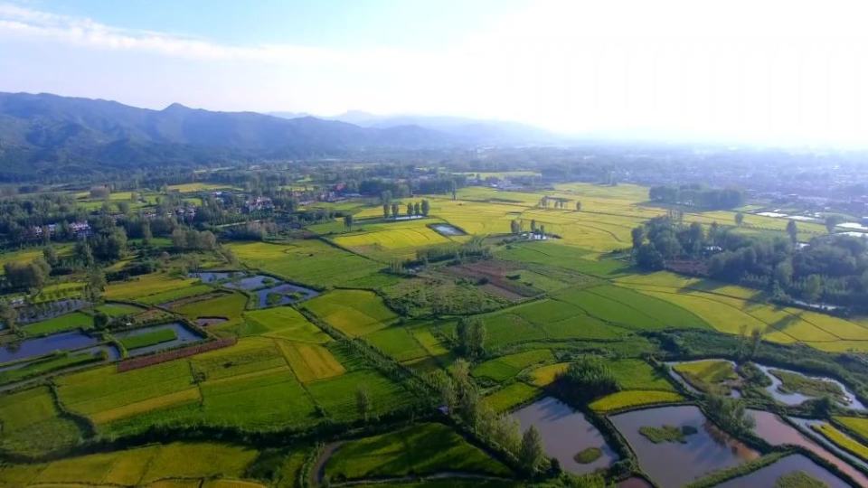 沃野良田谷满仓 科技种粮丰收忙——秋收一线见闻_腾讯新闻