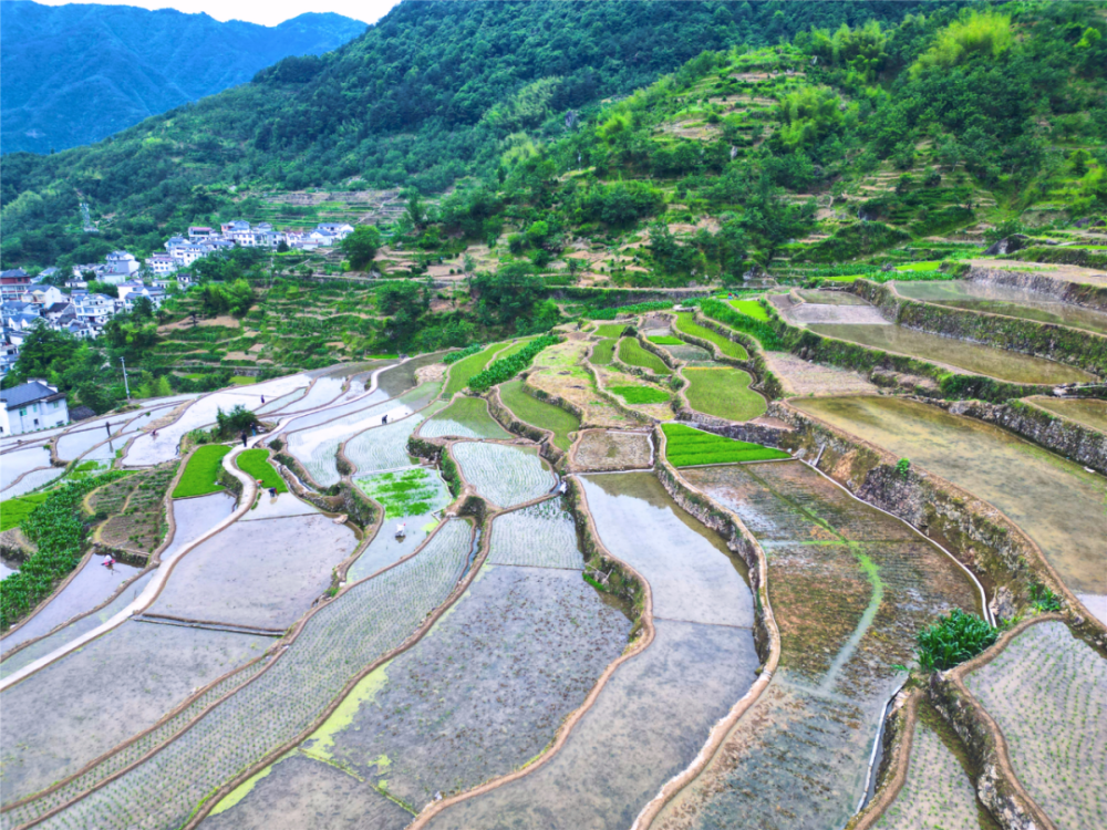 【早安,黄山】长三角地区职工疗休养交流协作暨"我在大黄山疗休养"