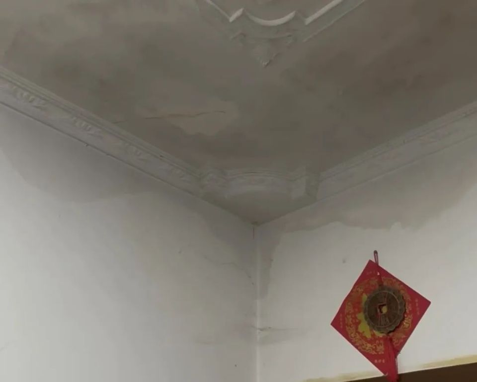 房屋频繁漏水?