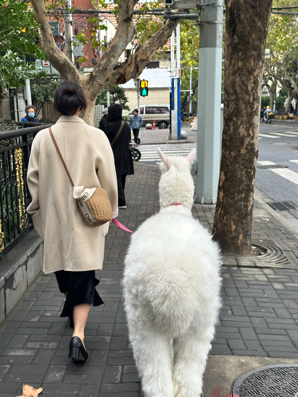 上海人的精神状态还是太领先了_腾讯新闻