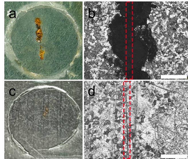 北京化工大学李国良教授npj Materials Degradation：原位自交联策略构筑自修复聚合物用于海洋智能防护材料_腾讯新闻