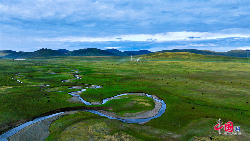 江源玉树·人文称多藏着一片美丽的彩虹草原——嘉塘草原