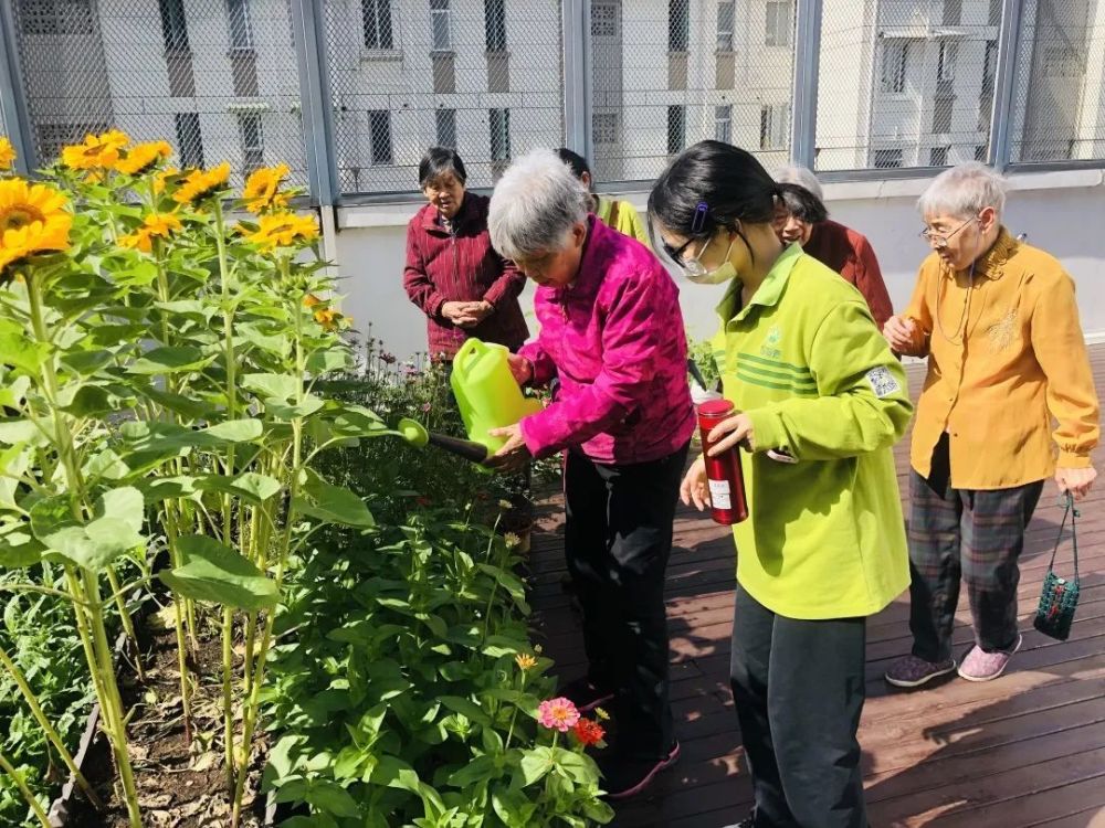 部分圖片來源於區民政局撰稿/攝影:閆 漫編輯:王 博責編