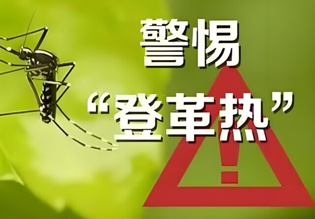 登革热病例上升！南方多地现风险，如何预防成难题？