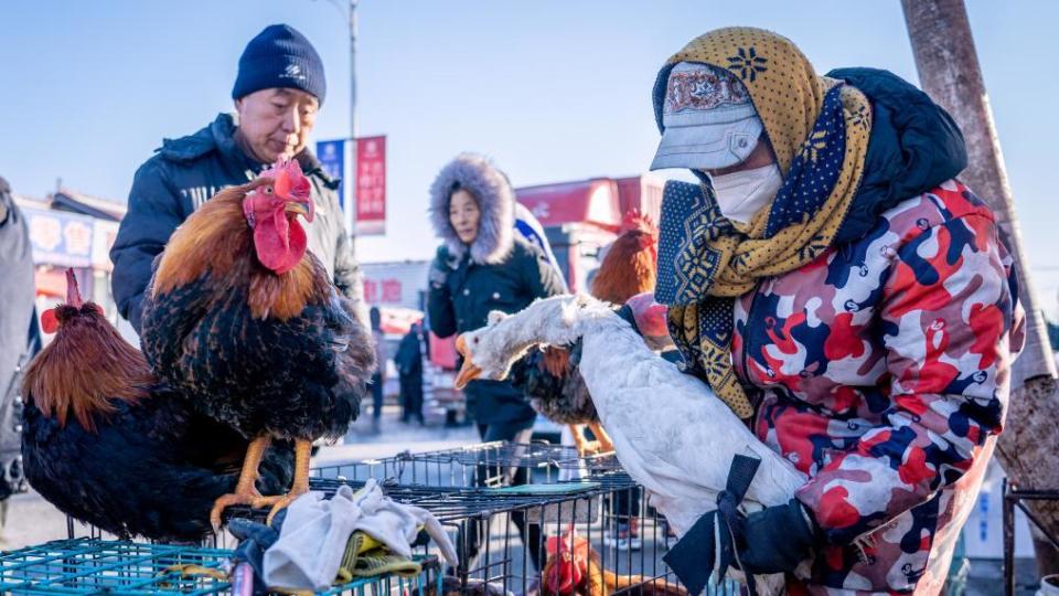 更重要的是,在东北农村大集上,排骨是论扇的