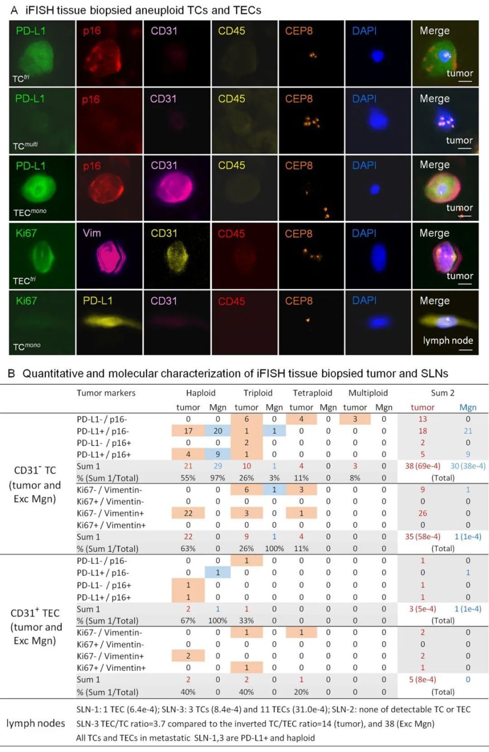 FISH怎么诊断CTCiFISH肿瘤组织与液体活检精准定位区域性癌变手术切缘及有效检测细胞型MRD_https://www.jmylbn.com_新闻资讯_第5张