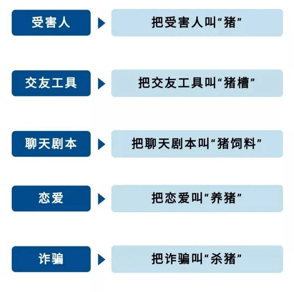 日照岚山黑社会案件图片