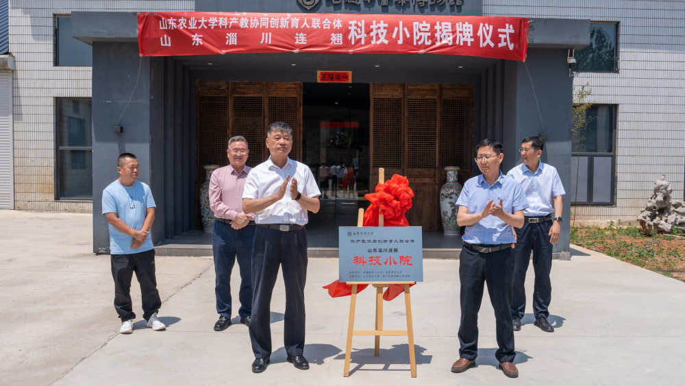 淄川区连翘产业高质量发展工作会召开